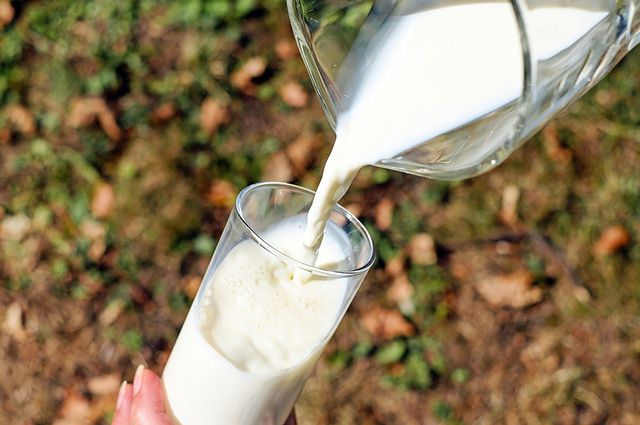 Диетолог рассказал, способствует ли употребление молока развитию рака