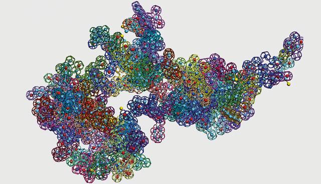 Найден белок, делающий клетки рака более чувствительными к химиотерапии