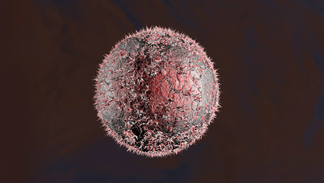Ученые из МГУ пытаются превратить раковые клетки в "каннибалов"