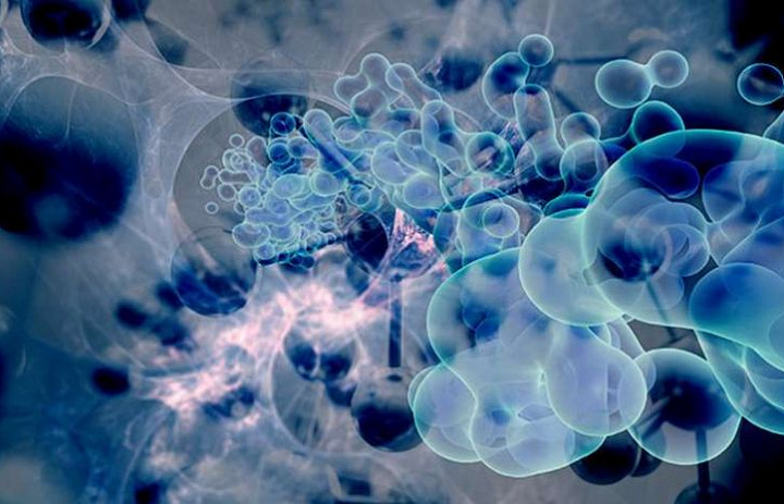Ученый разработал гибридный нанозонд, который может обнаруживать живые раковые клетки