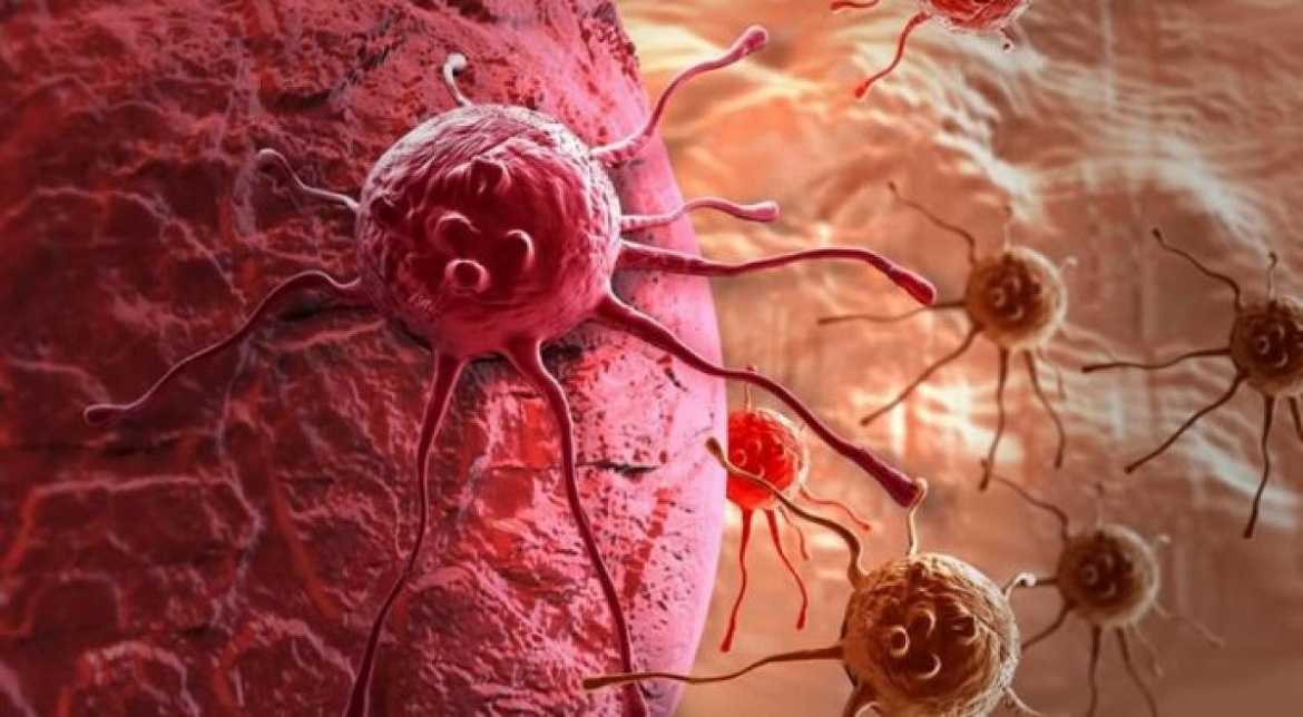 Ученые изучают новые возможности иммунотерапии рака