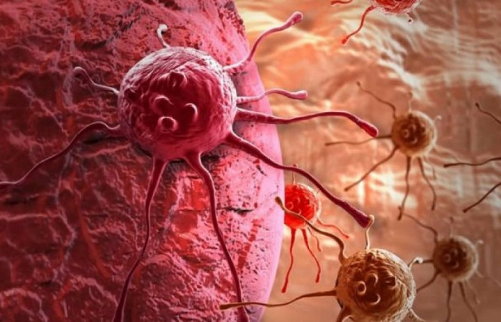 Ученые изучают новые возможности иммунотерапии рака