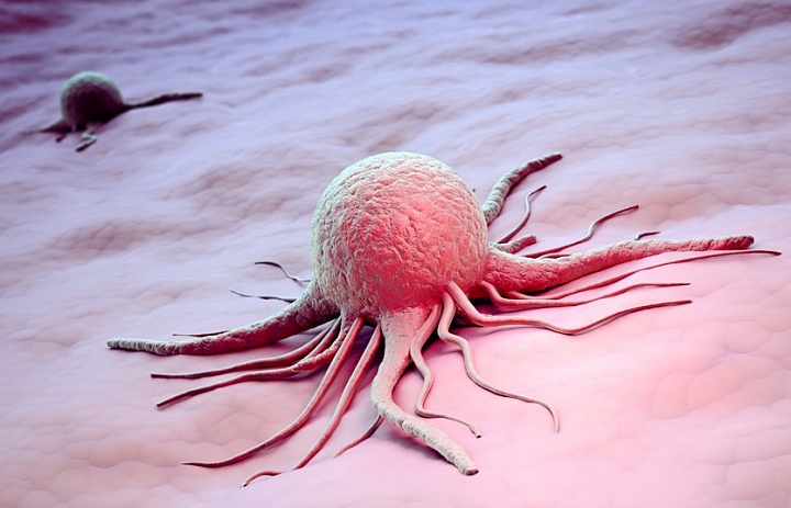Новое соединение заставляет раковые клетки самоуничтожаться
