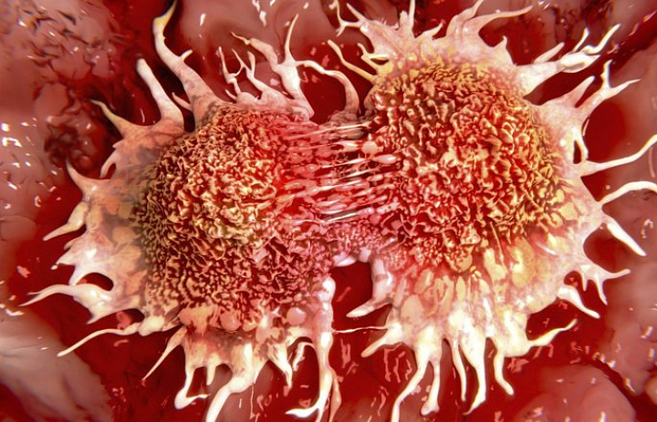 Ученые рассказали о раковых клетках, которые передаются при укусе