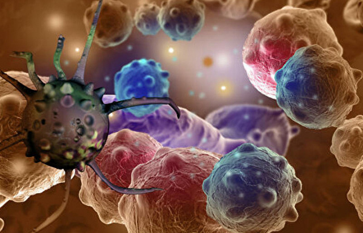 Вирус уничтожает раковые клетки