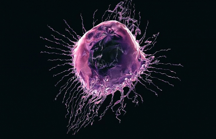 Ученые смогли уменьшить рост раковых клеток