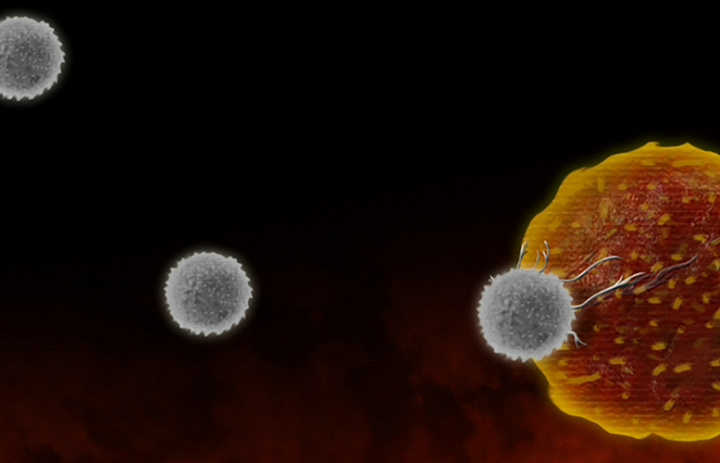 Найден способ убить T-клетки, защищающие раковую опухоль