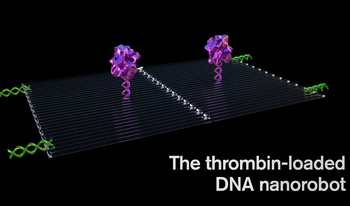 Разработаны нанороботы, способные уничтожать раковые клетки