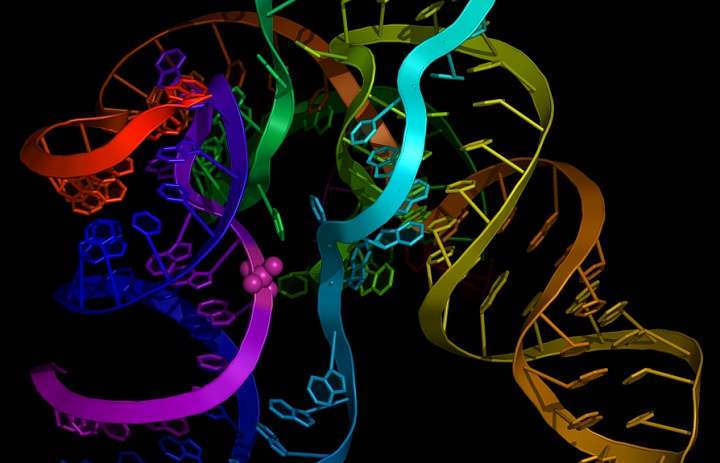 РНК может сделать индивидуальную медицину реальностью