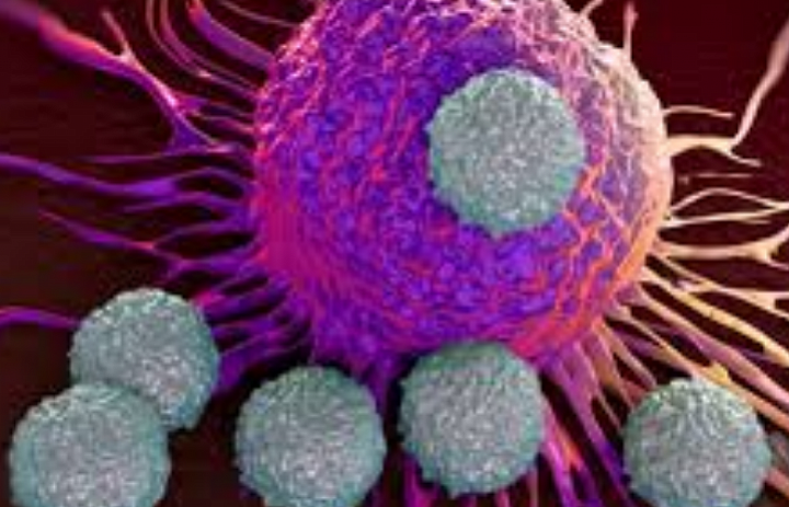Ученые научились наблюдать за поведением раковых клеток в реальном времени