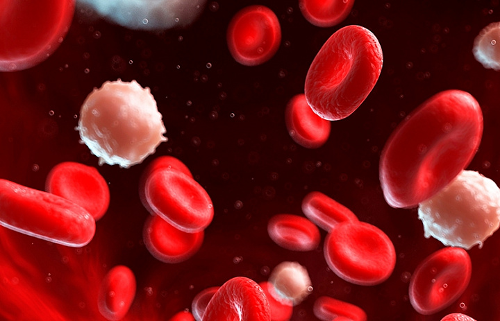 Новое оружие против рака нашли в белых клетках крови
